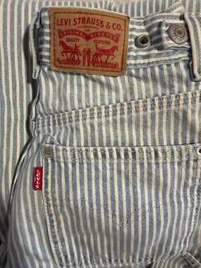 Levi Cinch Baggy Jeans